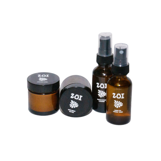 Skin Travel Kit